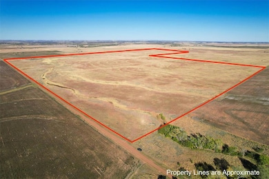 320 Acres in Beckham County
