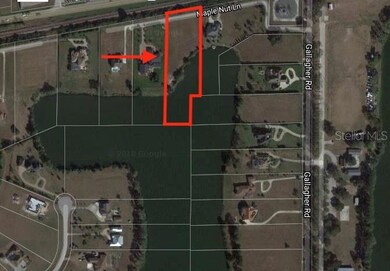 13319 Maple Nut Ln, Dover, FL 33527 - photo 3