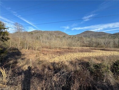 TBD N Carolina Highway 16, Moravian Falls, NC 28654 - photo 4