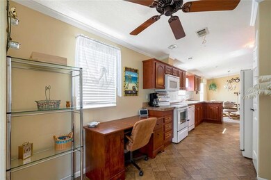 5541 Cheyenne St, Zephyrhills, FL 33542 - photo 5