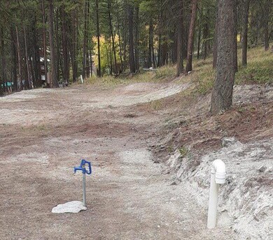 747 Spring Hill Rd, Kila, MT 59920 - photo 3