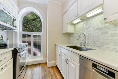 5 Greenwich Park unit 5, Boston, MA 02118 - photo 4
