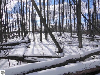 8314 Boca Vista Trail unit 2, Elmwood Charter Township, MI 49684 - photo 6