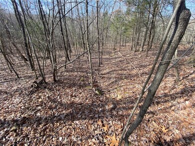Hunting opportunity abounds