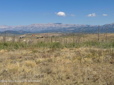 IMG_8662
