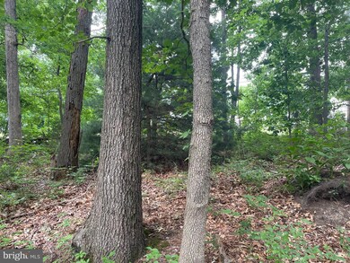 0 unit NJGL2043688, Glassboro, NJ 08028 - photo 3