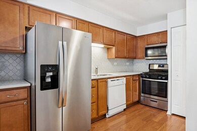 2880 Torrey Pine Ln unit 2F, Lisle, IL 60532 - photo 5