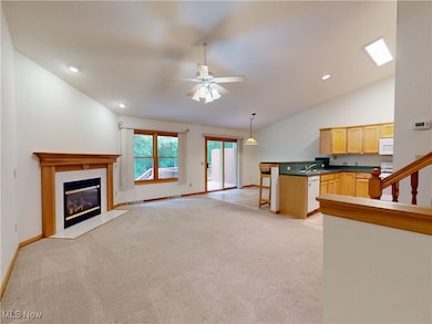 Living Room and kitchen