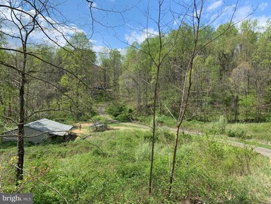 6420 Carters Run Rd, Marshall, VA 20115 - photo 5