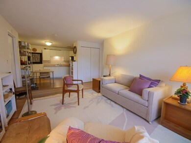 6 Colonial Village Dr unit 6, Arlington, MA 02474 - photo 6