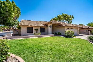 Hackamore-3