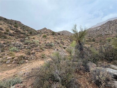 000 Between Silver Springs and Willow Creek, Kingman, AZ 86401 - photo 5