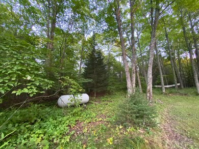 9093 Park Rd, Naubinway, MI 49762 - photo 7