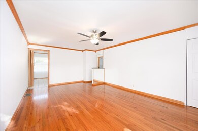 907 Norfolk Ave, Westchester, IL 60154 - photo 5