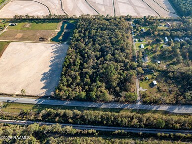 169 Lavan St, Elton, LA 70532 - photo 3