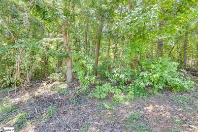 1208 Bradford Creek Ln, Taylors, SC 29687 - photo 5