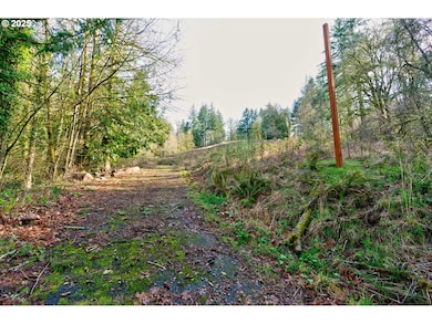 12505 NW Germantown Rd, Portland, OR 97231 - photo 3