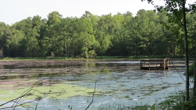 0 Concord Bainbridge Rd unit 259768, Havana, FL 32333 - photo 4