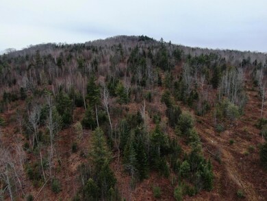 DJI_0341_1440x1080