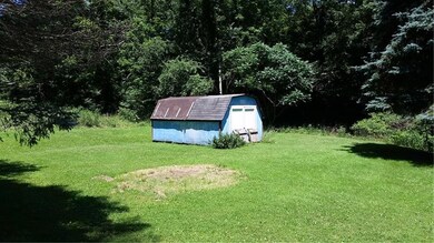 Backyard area with shed included.