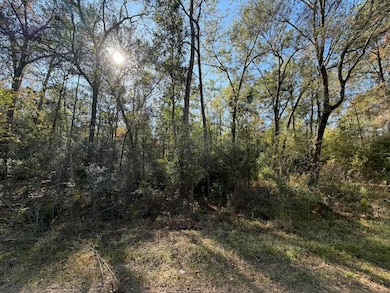 Lot 8A Private Road 2055, Liberty, TX 77564 - photo 3