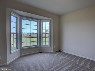905 Castlerock Ln, Berryville, VA 22611 - photo 3