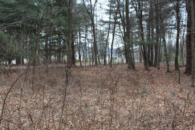 17 Longhorn Rd, Union Township, PA 16652 - photo 3