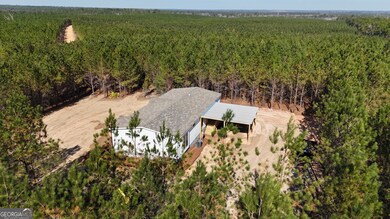 1262 Penny Morris Rd, Baxley, GA 31513 - photo 5