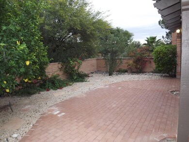 Pretty, private back yard