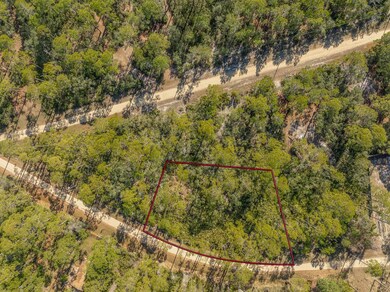 86 Lake View Dr, Bald Point, FL 32346 - photo 7