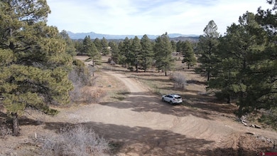 111 Tower Place, Pagosa Springs, CO 81147 - photo 2