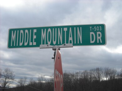 23 Middle Mountain Dr, Tunkhannock, PA 18657 - photo 5