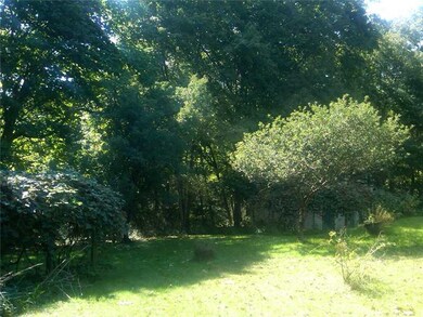 Yard/Garden. The property has grape arbors and mat