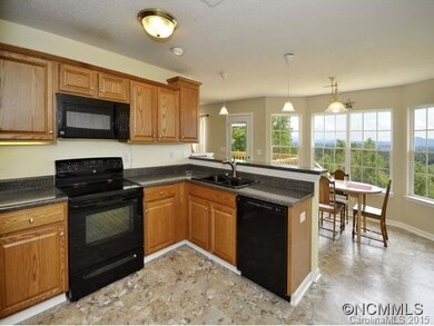 182 Selby Dr, Marshall, NC 28753 - photo 5