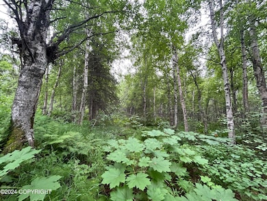 82A291CA-7F06-4B66-B8AF-F38883E80B1A