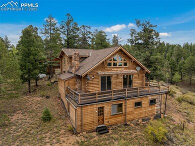 4665 W Highway 24, Florissant, CO 80816 - photo 6