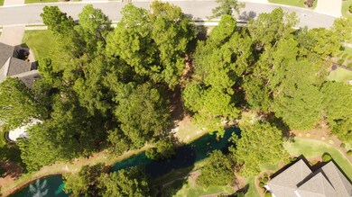 Duck pond behind lot