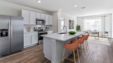 17627 Acorn Drop Rd, Land O' Lakes, FL 34638 - photo 2