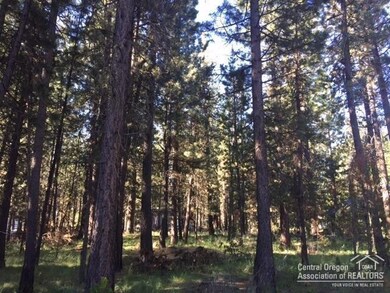 17033 Torrance, Bend, OR 97707 - photo 5