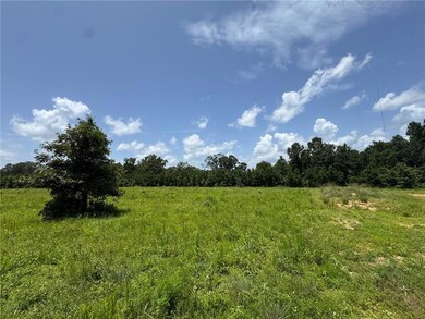 315 Gulde Rd, Trout, LA 71371 - photo 4