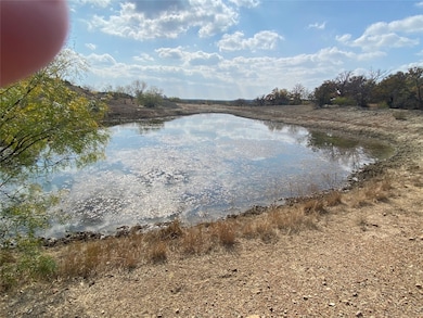14500 County Road 129, Brownwood, TX 76801 - photo 3