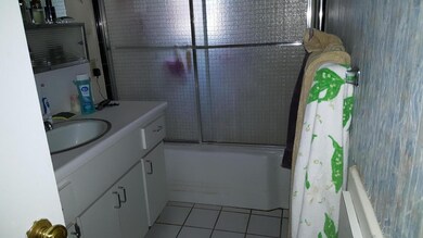 Hall Bathroom