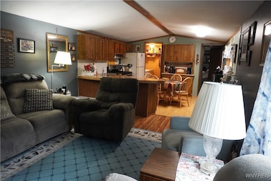 9111 U S 219, West Valley, NY 14171 - photo 7