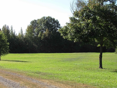 64 Wilson Cove Rd, Morrilton, AR 72110 - photo 5