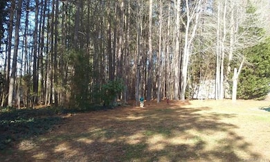 Trees at rear of lot