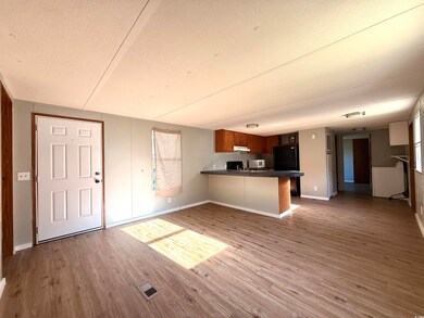 2765 County Line Rd, Andrews, SC 29510 - photo 4