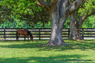 130 Sweetgrass Trail, Saint Augustine, FL 32092 - photo 2