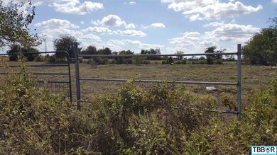 3258 Dairy Rd, Temple, TX 76501 - photo 6