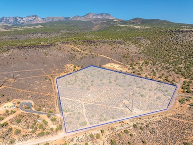 2-web-or-mls-Topaz Road 13 Acre Lot (2)