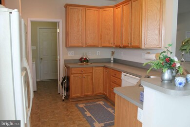 100 Shumard Ct, Stephens City, VA 22655 - photo 6